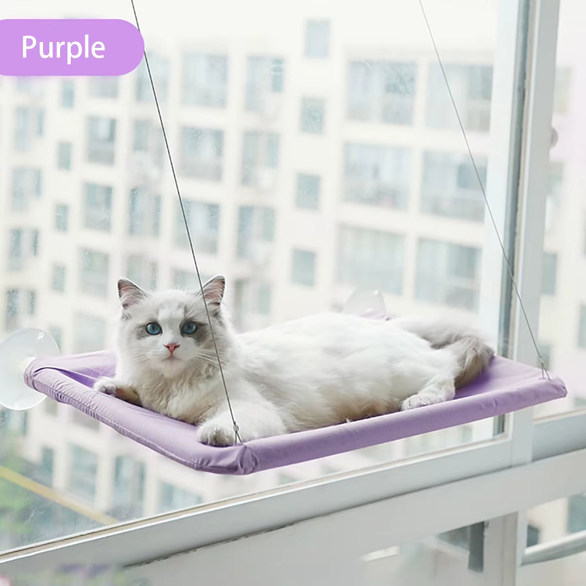 SunBasker Window Hammock – The Ultimate Sunny Seat for Cats Who Love to Lounge